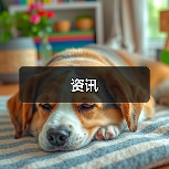 资讯(图3) 资讯(图3)