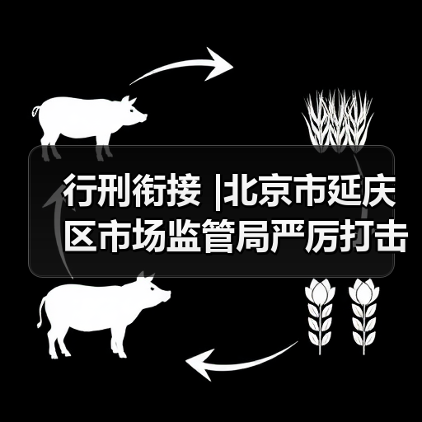 行刑衔接 |北京市延庆区市场监管局严厉打击食品药品违法犯罪行为,扎牢织密民生保障安全网(图3) 行刑衔接 |北京市延庆区市场监管局严厉打击食品药品违法犯罪行为,扎牢织密民生保障安全网(图3)