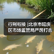 行刑衔接 |北京市延庆区市场监管局严厉打击食品药品违法犯罪行为,扎牢织密民生保障安全网(图1) 行刑衔接 |北京市延庆区市场监管局严厉打击食品药品违法犯罪行为,扎牢织密民生保障安全网(图1)