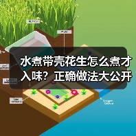 水煮带壳花生怎么煮才入味？正确做法大公开（图1）
