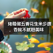 烤箱做五香花生米步骤,香脆不腻超美味(图4) 烤箱做五香花生米步骤,香脆不腻超美味(图4)