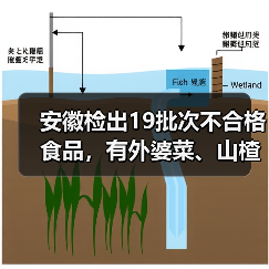安徽检出19批次不合格食品,有外婆菜、山楂干、砂糖橘等(图1) 安徽检出19批次不合格食品,有外婆菜、山楂干、砂糖橘等(图1)