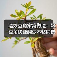 清炒豆角家常做法：嫩豆角快速翻炒不粘锅技巧（图1）
