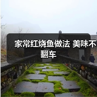 家常红烧鱼做法 美味不翻车（图2）