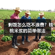 剩饭怎么吃不浪费?核桃米浆的简单做法(图3) 剩饭怎么吃不浪费?核桃米浆的简单做法(图3)