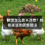 剩饭怎么吃不浪费?核桃米浆的简单做法(图2) 剩饭怎么吃不浪费?核桃米浆的简单做法(图2)