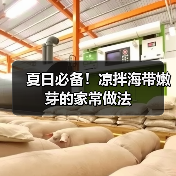 夏日必备!凉拌海带嫩芽的家常做法(图2) 夏日必备!凉拌海带嫩芽的家常做法(图2)