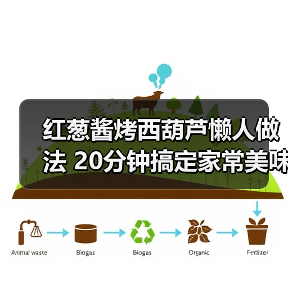 红葱酱烤西葫芦懒人做法 20分钟搞定家常美味(图2) 红葱酱烤西葫芦懒人做法 20分钟搞定家常美味(图2)