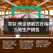 答复|桃金娘能否在福建当地生产销售(图1) 答复|桃金娘能否在福建当地生产销售(图1)