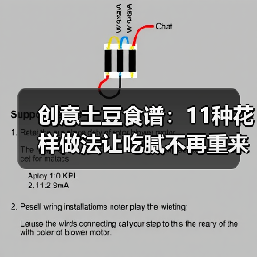创意土豆食谱：11种花样做法让吃腻不再重来（图4）