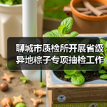聊城市质检所开展省级异地粽子专项抽检工作筑牢食品安全防线(图1) 聊城市质检所开展省级异地粽子专项抽检工作筑牢食品安全防线(图1)