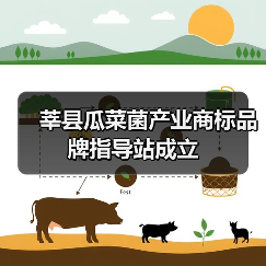 莘县瓜菜菌产业商标品牌指导站成立(图4) 莘县瓜菜菌产业商标品牌指导站成立(图4)