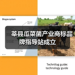 莘县瓜菜菌产业商标品牌指导站成立(图2) 莘县瓜菜菌产业商标品牌指导站成立(图2)