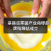 莘县瓜菜菌产业商标品牌指导站成立(图1) 莘县瓜菜菌产业商标品牌指导站成立(图1)