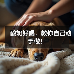 酸奶好喝，教你自己动手做！（图3）