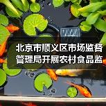 北京市顺义区市场监督管理局开展农村食品监督检查(图3) 北京市顺义区市场监督管理局开展农村食品监督检查(图3)