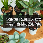 火锅为什么总让人欲罢不能?食材与匠心的秘密揭晓(图1) 火锅为什么总让人欲罢不能?食材与匠心的秘密揭晓(图1)