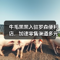 牛毛黑黑入驻罗森便利店,加速零售渠道多元化布局(图3) 牛毛黑黑入驻罗森便利店,加速零售渠道多元化布局(图3)
