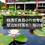临渭区食品小作坊专项整治如何落地?培训会详解监管要点(图1) 临渭区食品小作坊专项整治如何落地?培训会详解监管要点(图1)