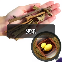 资讯(图4) 资讯(图4)