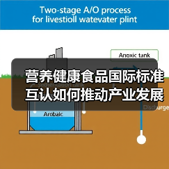 营养健康食品国际标准互认如何推动产业发展？（图1）