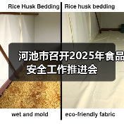 河池市召开2025年食品安全工作推进会（图4）
