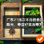 广东21批次不合格食品曝光,奇亚籽果冻等为何频现微生物风险?(图3) 广东21批次不合格食品曝光,奇亚籽果冻等为何频现微生物风险?(图3)