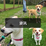 资讯(图4) 资讯(图4)