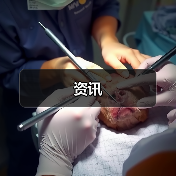 资讯（图2）