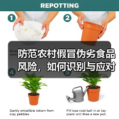 防范农村假冒伪劣食品风险，如何识别与应对？（图2）