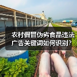 农村假冒伪劣食品违法广告关键词如何识别？（图4）