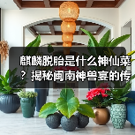 麒麟脱胎是什么神仙菜？揭秘闽南神兽宴的传说与做法（图1）