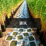 资讯(图4) 资讯(图4)