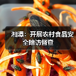湘潭:开展农村食品安全暗访督查(图3) 湘潭:开展农村食品安全暗访督查(图3)