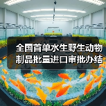 全国首单水生野生动物制品批量进口审批办结（图3）