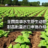 全国首单水生野生动物制品批量进口审批办结（图1）