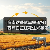 海南这些食品被通报!西芹白芷红花生米等不合格引关注(图1) 海南这些食品被通报!西芹白芷红花生米等不合格引关注(图1)
