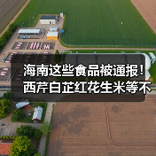 海南这些食品被通报!西芹白芷红花生米等不合格引关注(图2) 海南这些食品被通报!西芹白芷红花生米等不合格引关注(图2)