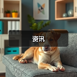 资讯(图1) 资讯(图1)