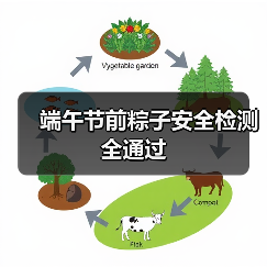 端午节前粽子安全检测全通过(图4) 端午节前粽子安全检测全通过(图4)