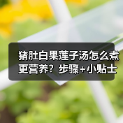 猪肚白果莲子汤怎么煮更营养？步骤+小贴士全解析（图2）