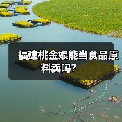 福建桃金娘能当食品原料卖吗?(图4) 福建桃金娘能当食品原料卖吗?(图4)