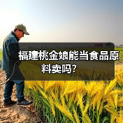 福建桃金娘能当食品原料卖吗?(图1) 福建桃金娘能当食品原料卖吗?(图1)