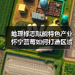 地理标志赋能特色产业 怀宁蓝莓如何打造区域品牌？（图4）