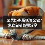 浆果奶冻蛋糕怎么做?家庭自制教程分享(图2) 浆果奶冻蛋糕怎么做?家庭自制教程分享(图2)
