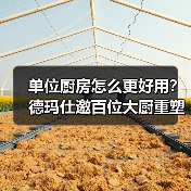 单位厨房怎么更好用？德玛仕邀百位大厨重塑设计（图4）