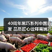 40周年黑巧系列中国首发 品质匠心诠释高端巧克力（图4）